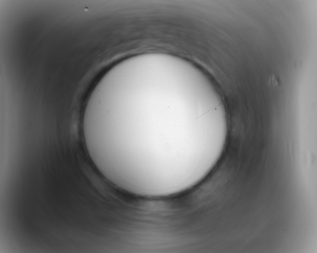 X0000089871499200707191929