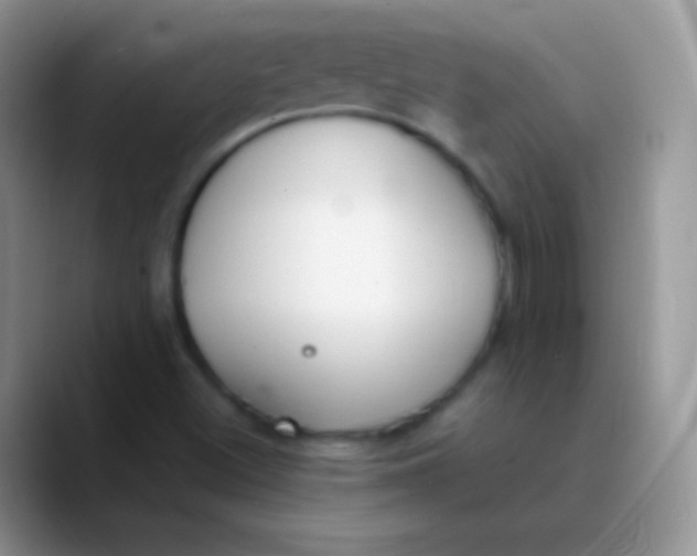 X0000089871500200707191929