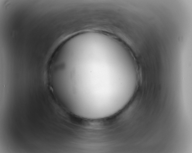 X0000089871501200707191929