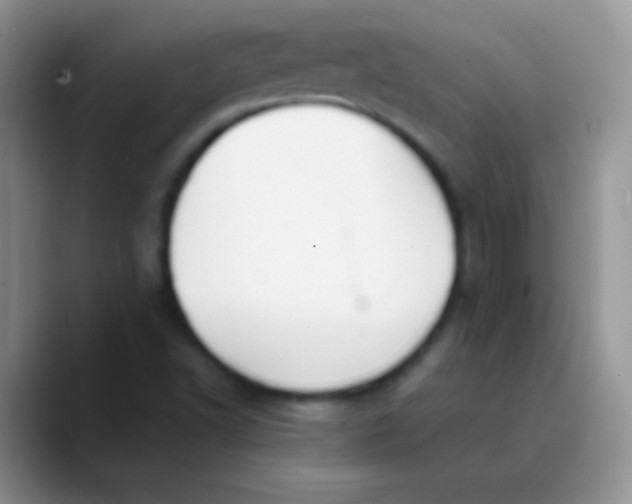 X0000089871502200707191929