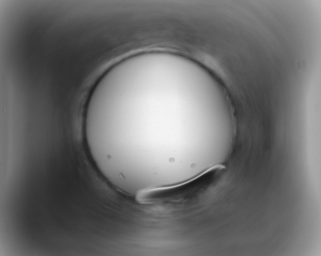 X0000089871504200707191929