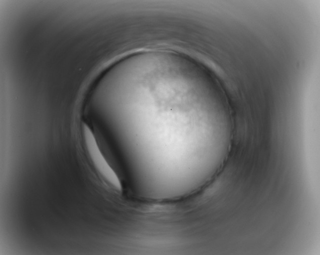 X0000089871506200707191929