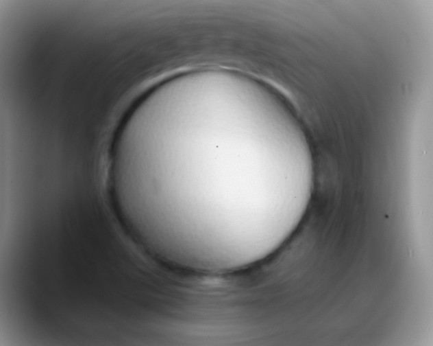 X0000089871507200707191929