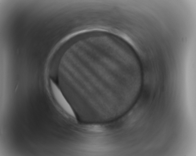 X0000089871508200707191929