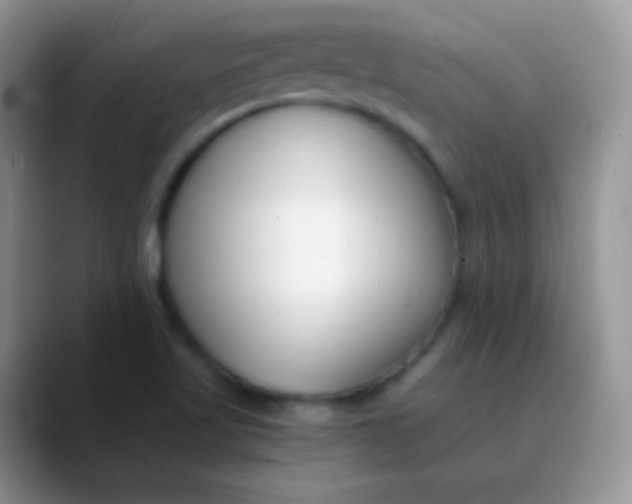 X0000089871509200707191929