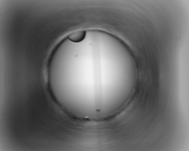 X0000089871510200707191929