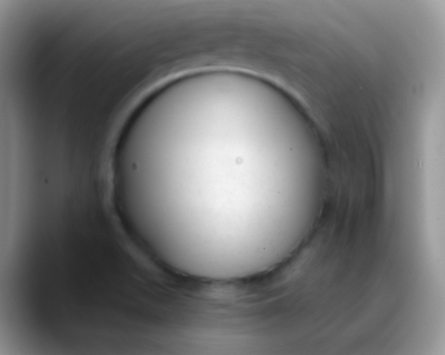 X0000089871511200707191929