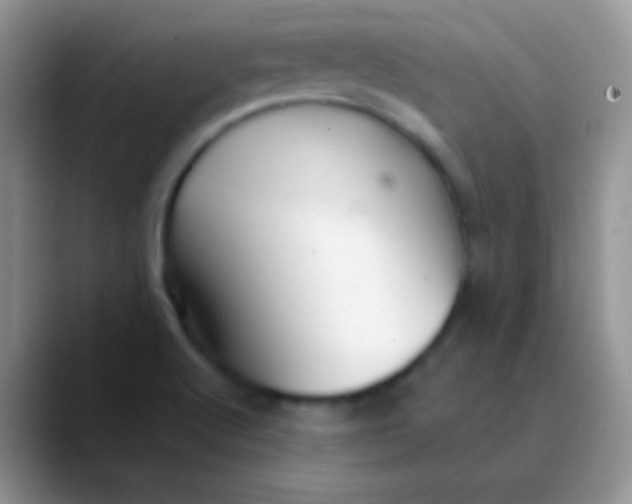 X0000089871512200707191929