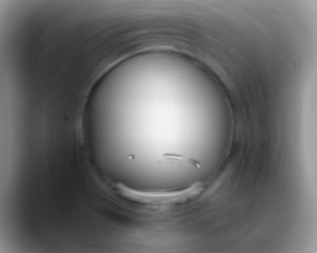 X0000089871513200707191929