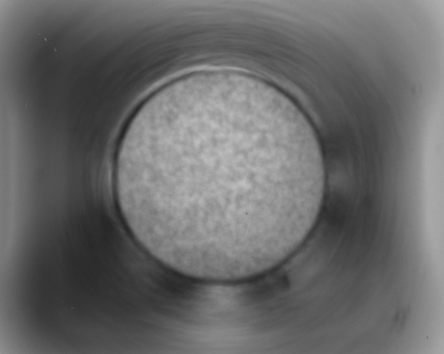 X0000089871514200707191929