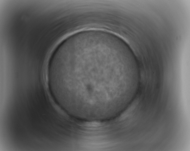 X0000089871515200707191929