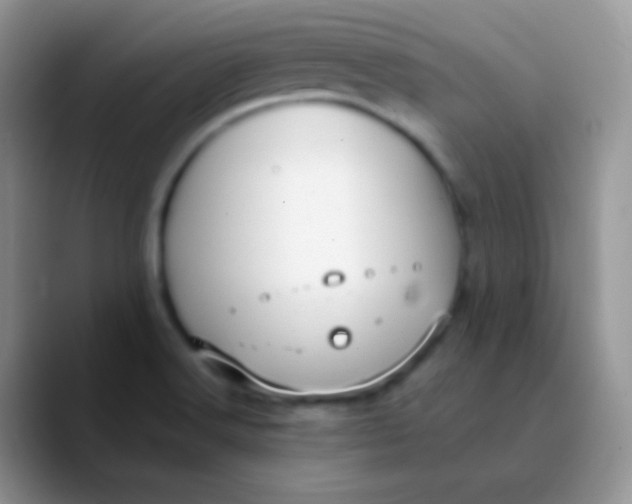 X0000089871516200707191929