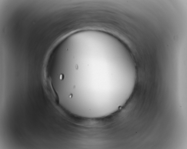 X0000089871517200707191929