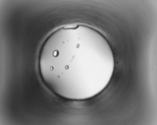 X0000089871518200707191929