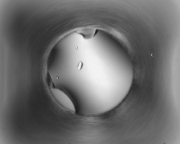 X0000089871520200707191929