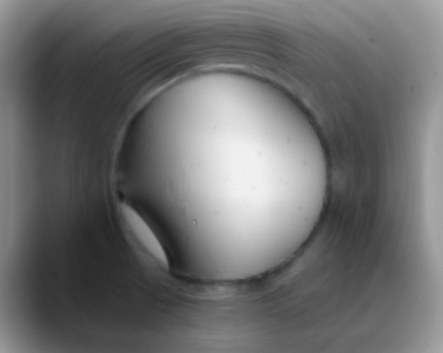 X0000089871521200707191929