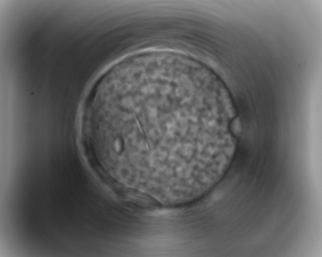 X0000089871522200707191929