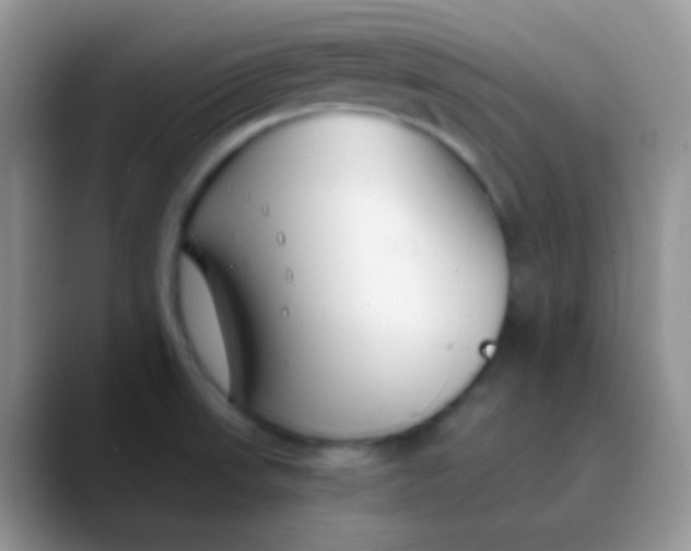 X0000089871523200707191929