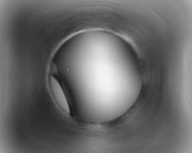 X0000089871524200707191929