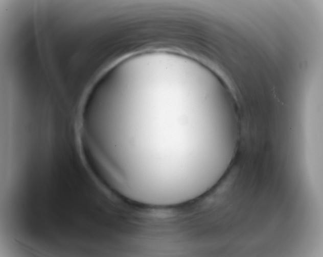 X0000089871525200707191929