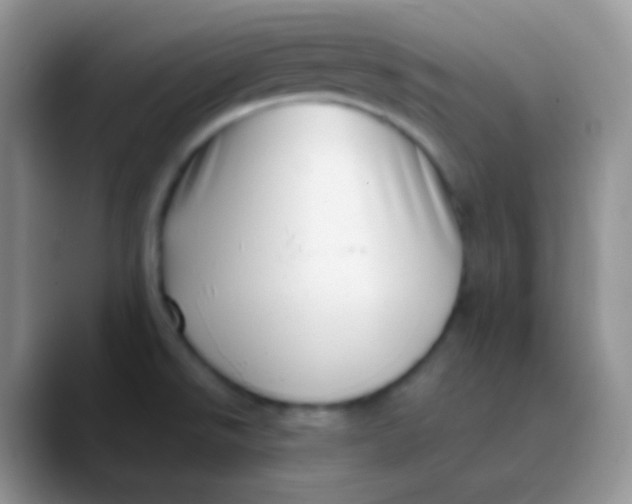 X0000089871526200707191929