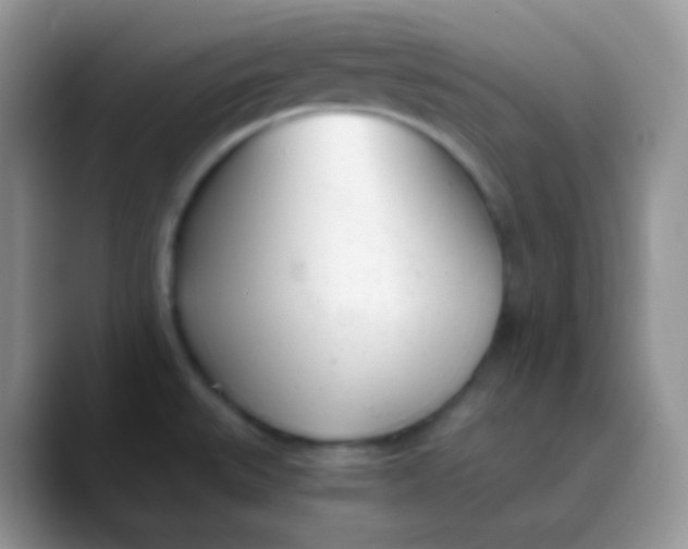 X0000089871527200707191929