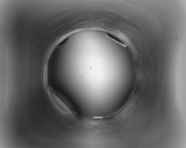 X0000089871528200707191929