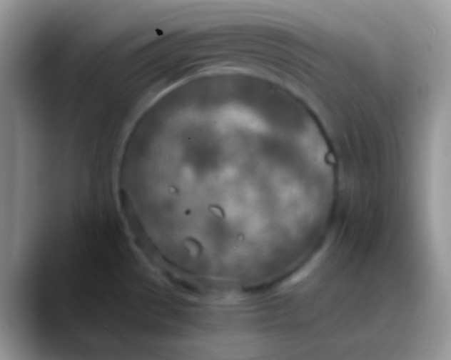 X0000089871529200707191929