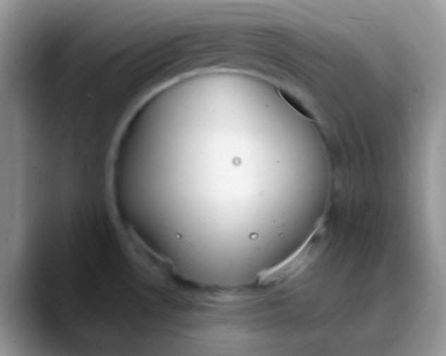 X0000089871530200707191929