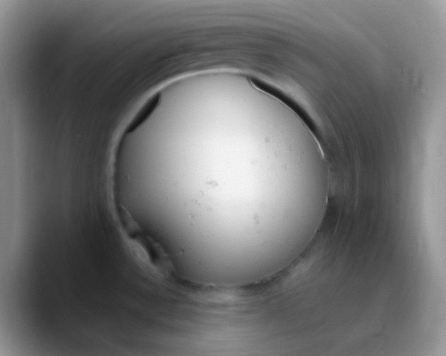 X0000089871532200707191929