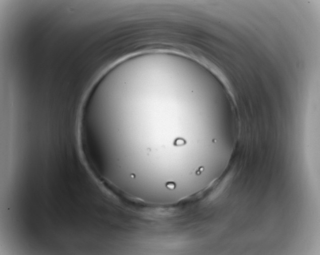 X0000089871533200707191929