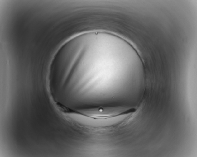 X0000089871534200707191929