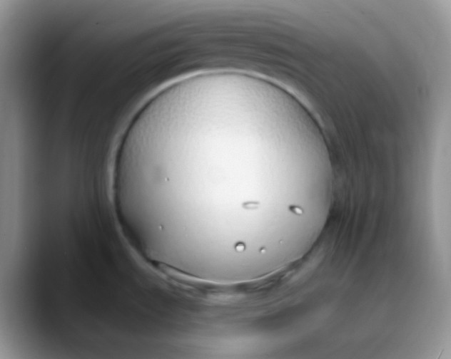 X0000089871535200707191929