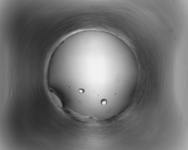 X0000089871536200707191929