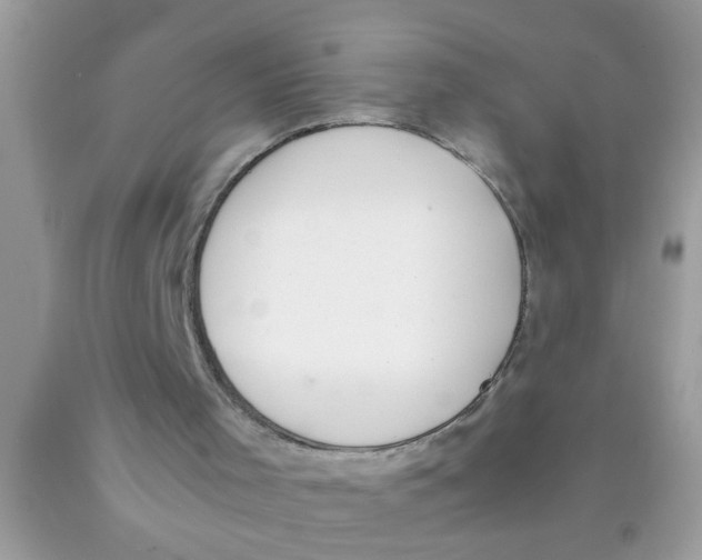 X0000089870001200707262159