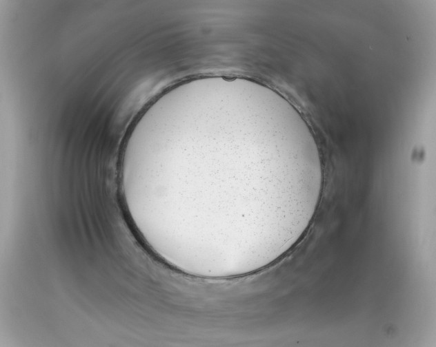 X0000089870002200707262159
