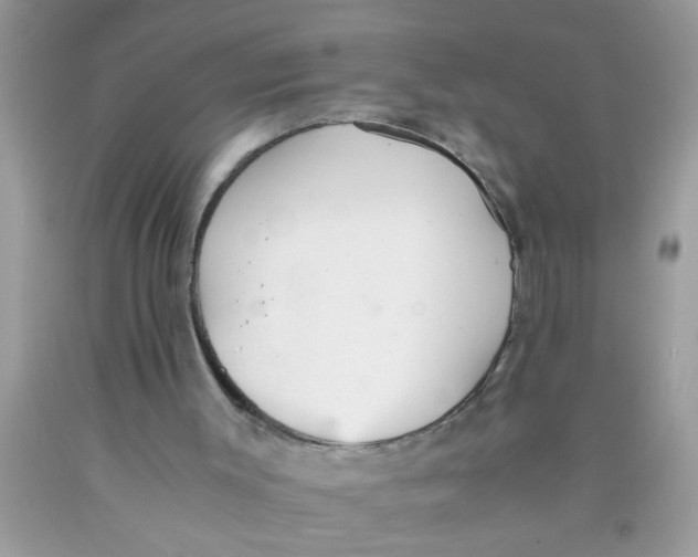 X0000089870003200707262159