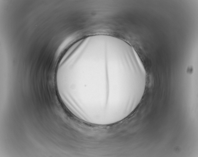 X0000089870004200707262159