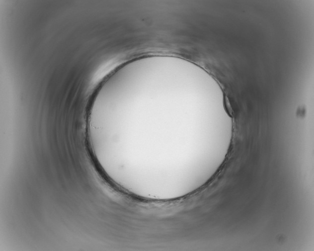 X0000089870005200707262159