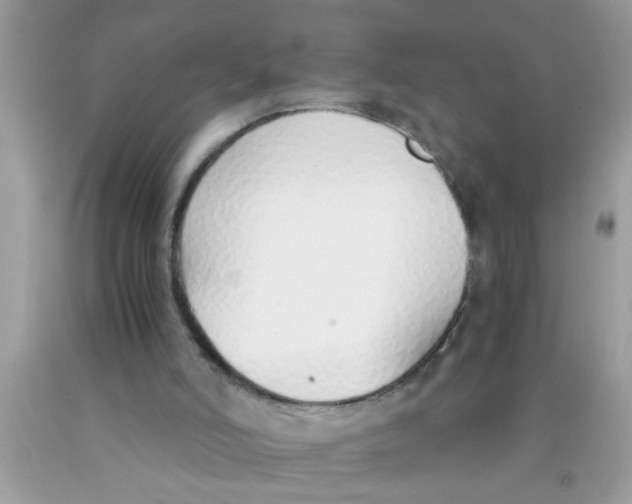 X0000089870006200707262159