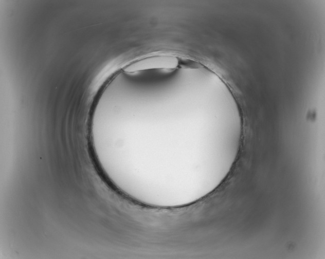 X0000089870007200707262159