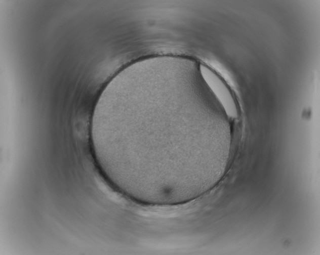 X0000089870009200707262159