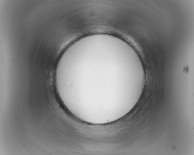 X0000089870010200707262159