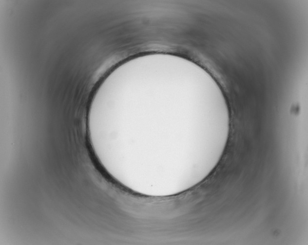 X0000089870011200707262159