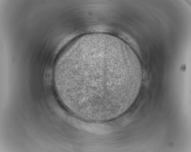 X0000089870012200707262159