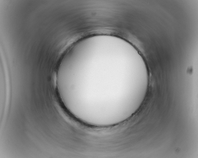 X0000089870013200707262159