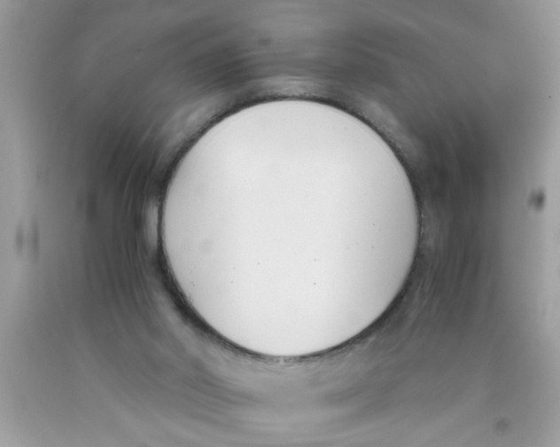 X0000089870014200707262159