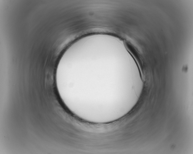 X0000089870015200707262159