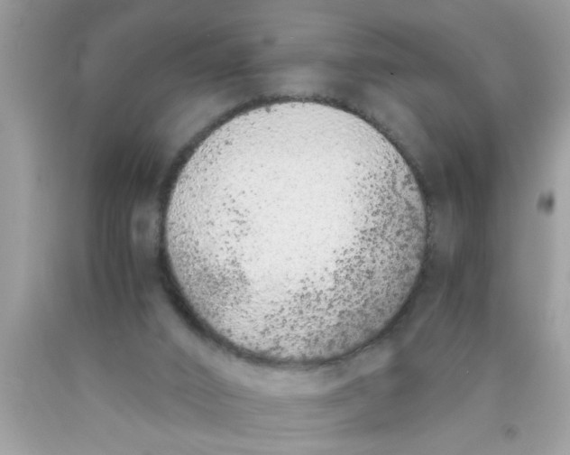 X0000089870016200707262159