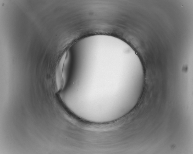 X0000089870017200707262159
